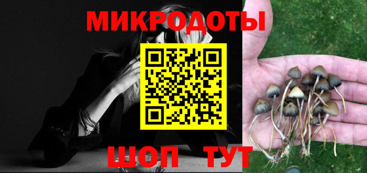 Псилоцибиновые грибы ЛСД Бийск